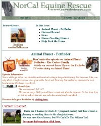 horse rescue