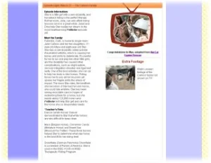 horse rescue