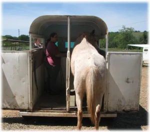horse shelter