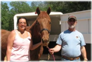 horse rescue