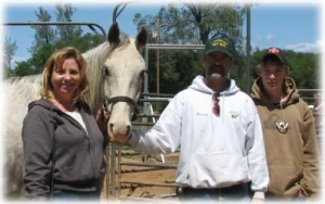 horse rescue