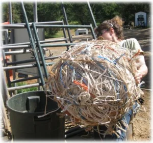 horse shelter