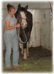 horse rescue