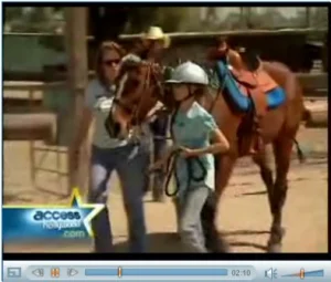 horse rescue