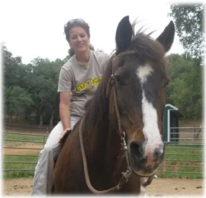 horse rescue