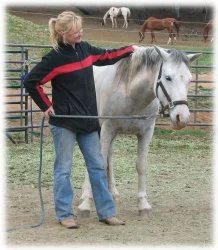 horse rescue