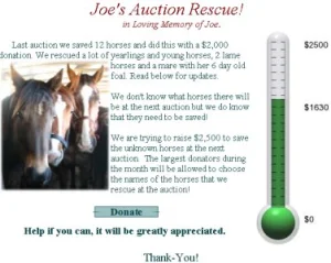 horse rescue