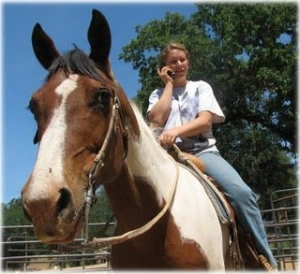 horse rescue