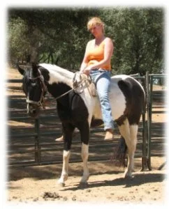 horse rescue