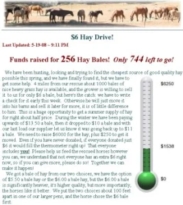 horse rescue