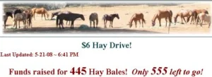horse rescue