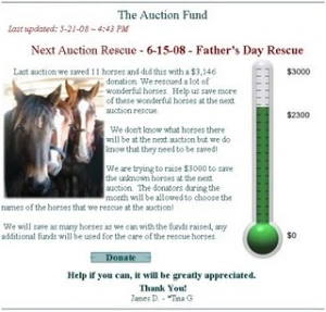 horse rescue
