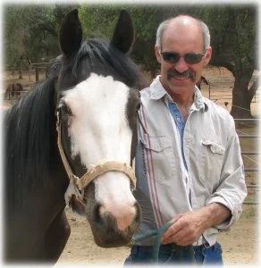 horse rescue