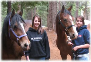 horse rescue