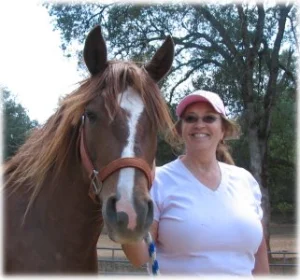 horse rescue
