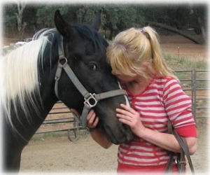 horse rescue