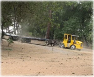 horse rescue