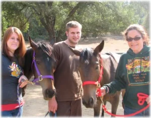 horse rescue