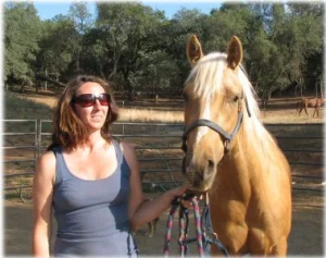 horse rescue