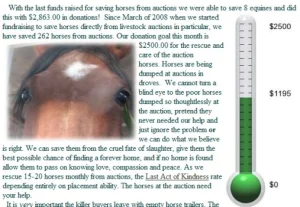 horse rescue