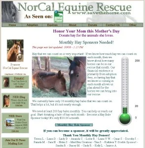horse rescue
