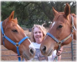 horse rescue