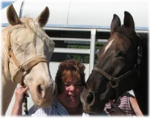 horse rescue