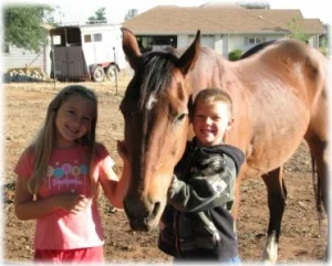 horse rescue