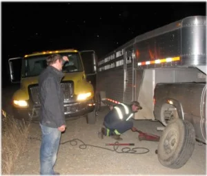 horse rescue