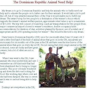 horse rescue