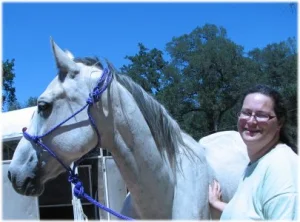 horse rescue