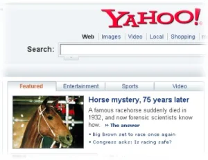 horse rescue