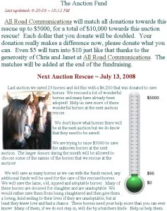horse rescue
