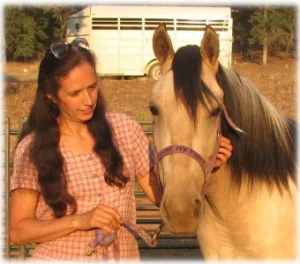 horse rescue