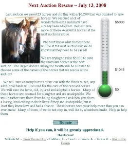 horse rescue