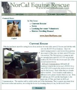 horse rescue