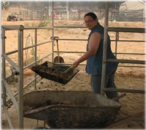 horse rescue