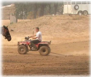 horse rescue