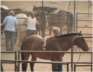 horse rescue