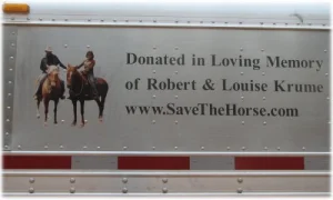 horse rescue