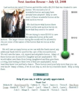 horse rescue