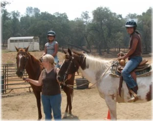 horse rescue