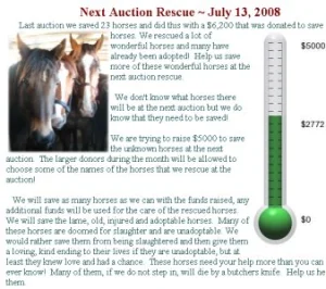 horse rescue