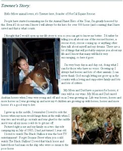horse rescue