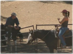 horse rescue