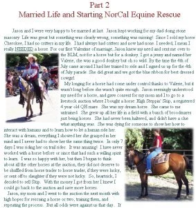 horse rescue