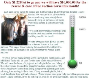 horse rescue