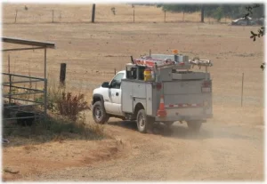 horse rescue