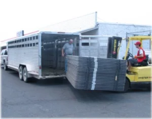 horse rescue