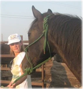 horse rescue